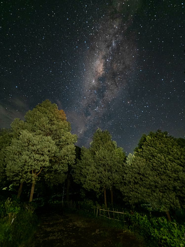 Photograph by Lugyanti Sukrisman