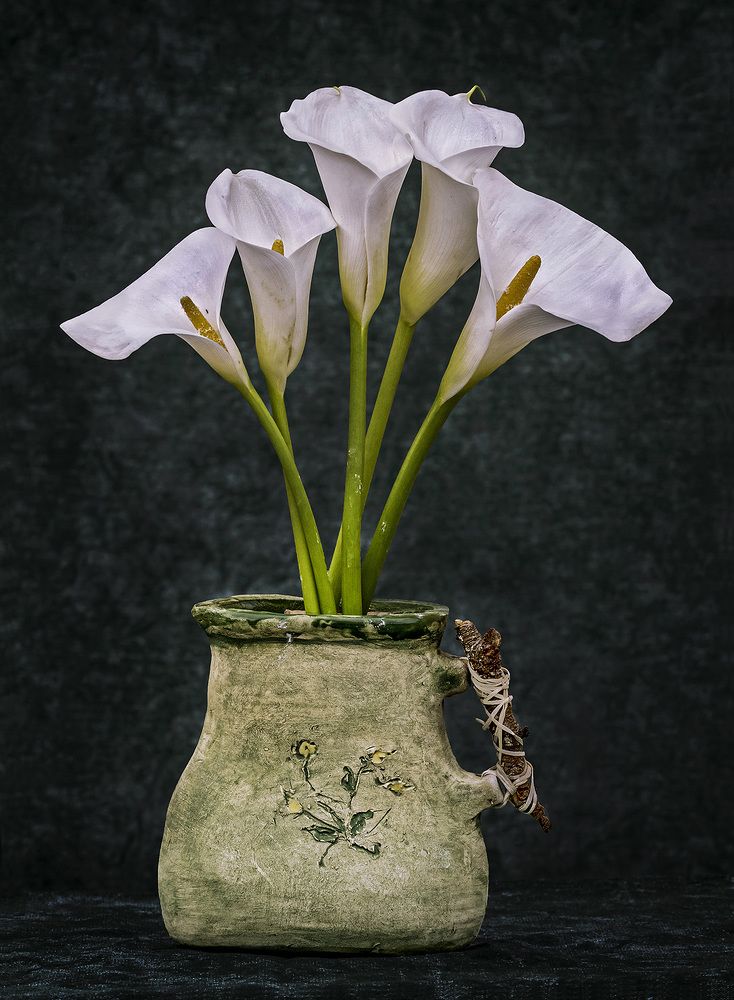 Photograph by Mario Fiorucci