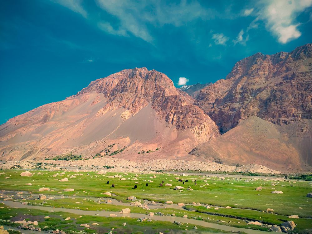 Chupurson Valley Hunza.