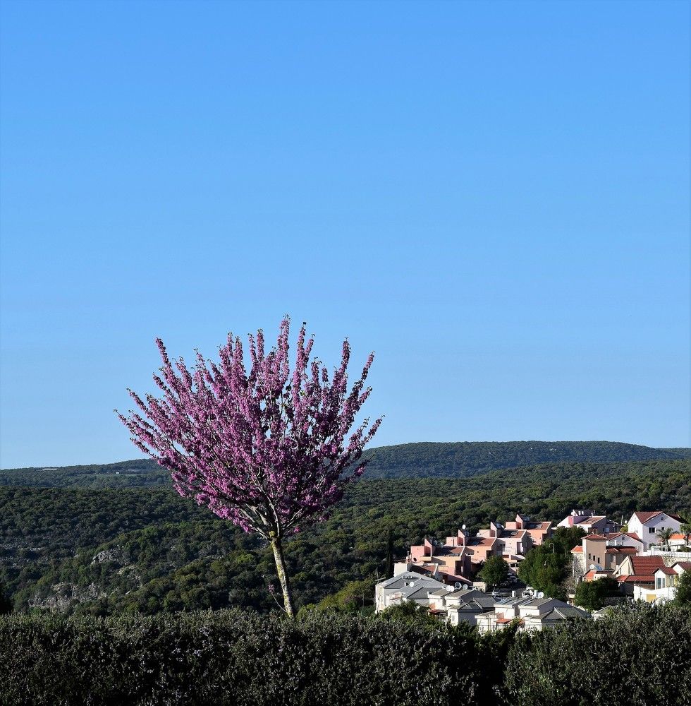 Photograph by Marina Eremin