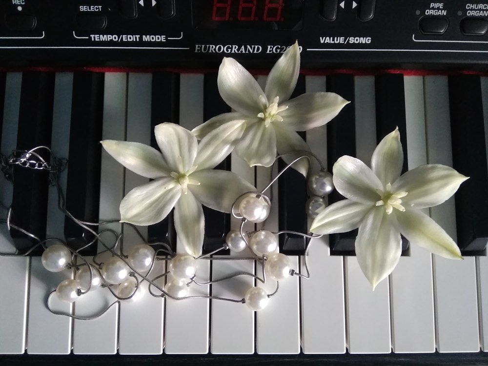 Photograph by Irinochka Zorina