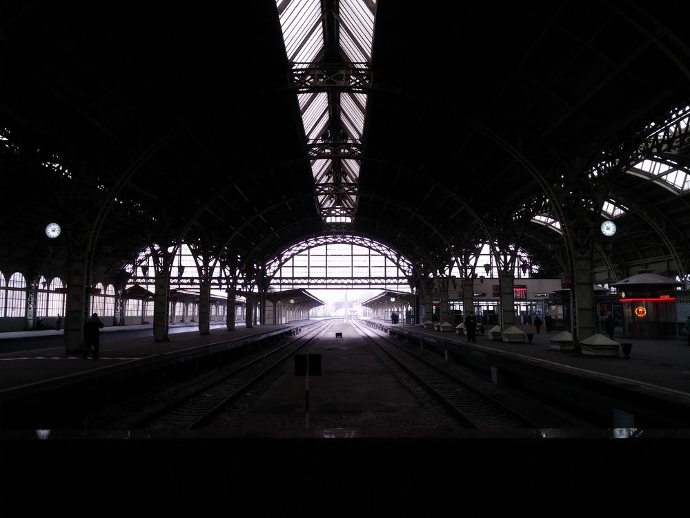 Photograph by Елена Амосова