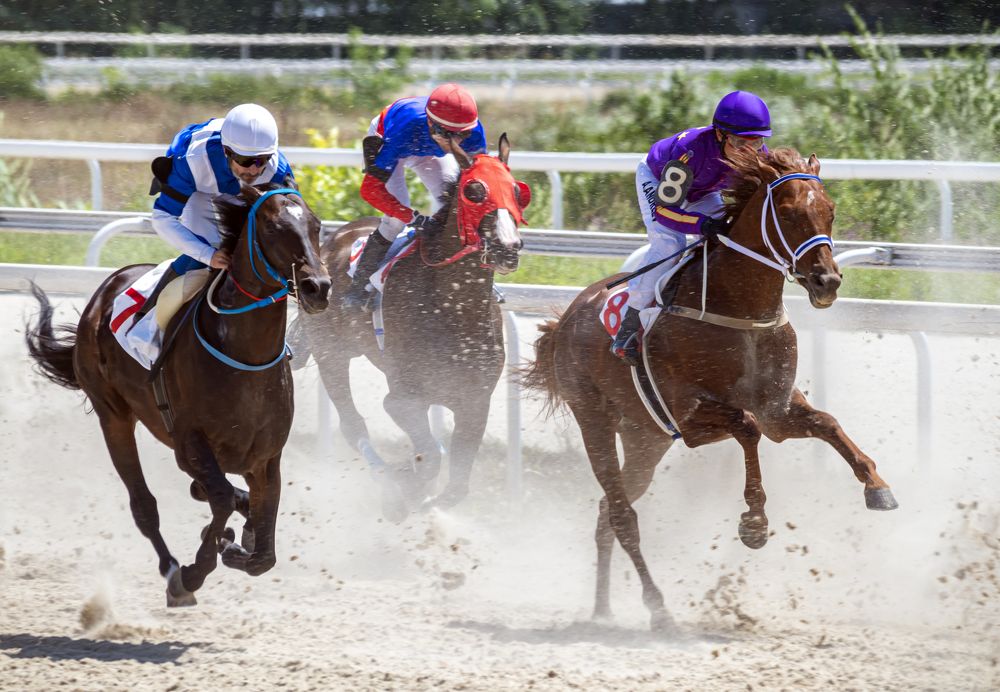 Photograph by Сергей Савчук