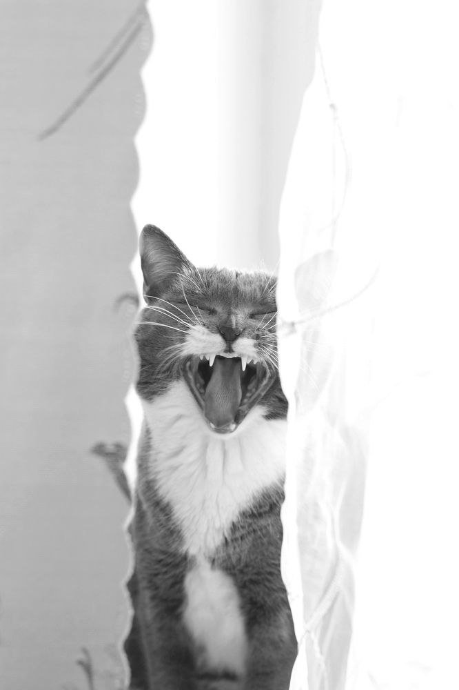 Photograph by Надежда Яковлева