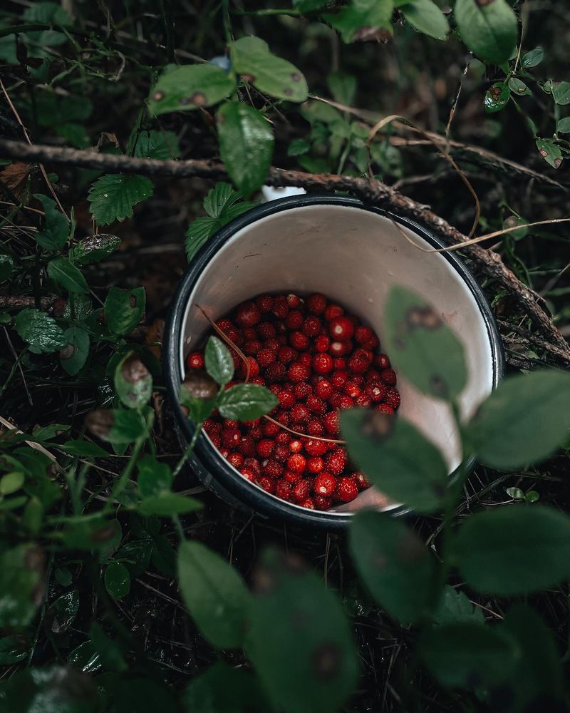 Photograph by Анастасия Могилевец