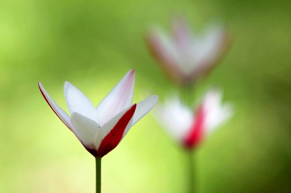 Photograph by mehdi karimi souderjani