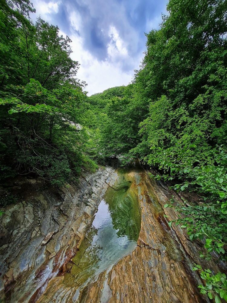 Photograph by Алла Шикина