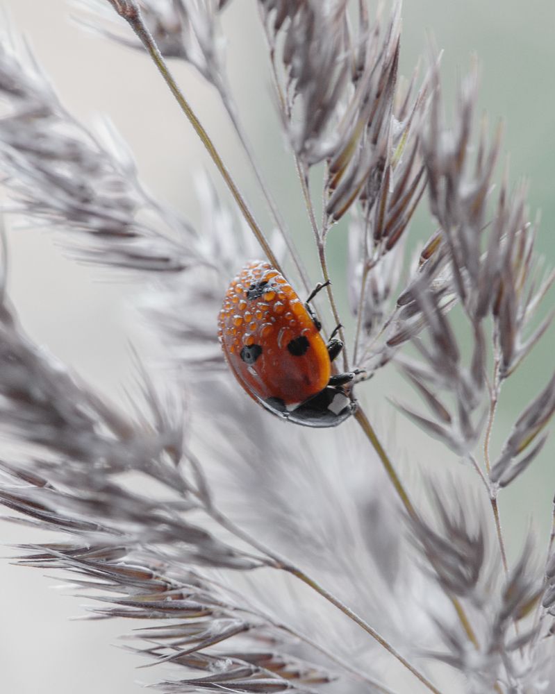 Photograph by Михаил