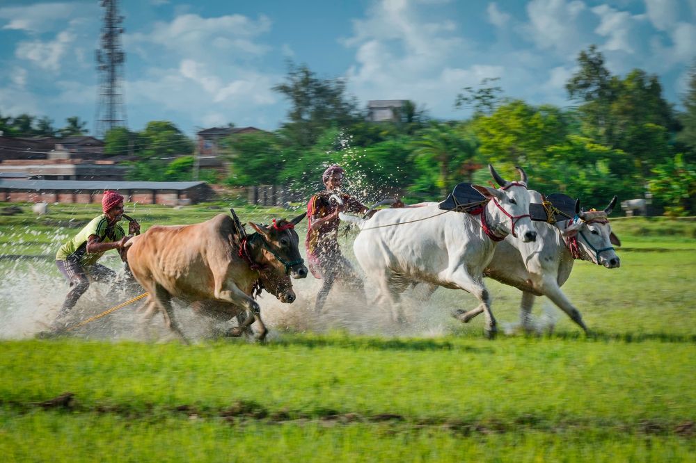 Фотография автора Pramit Karmakar