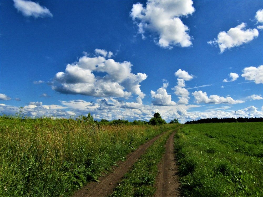 Photograph by Николай Худяков