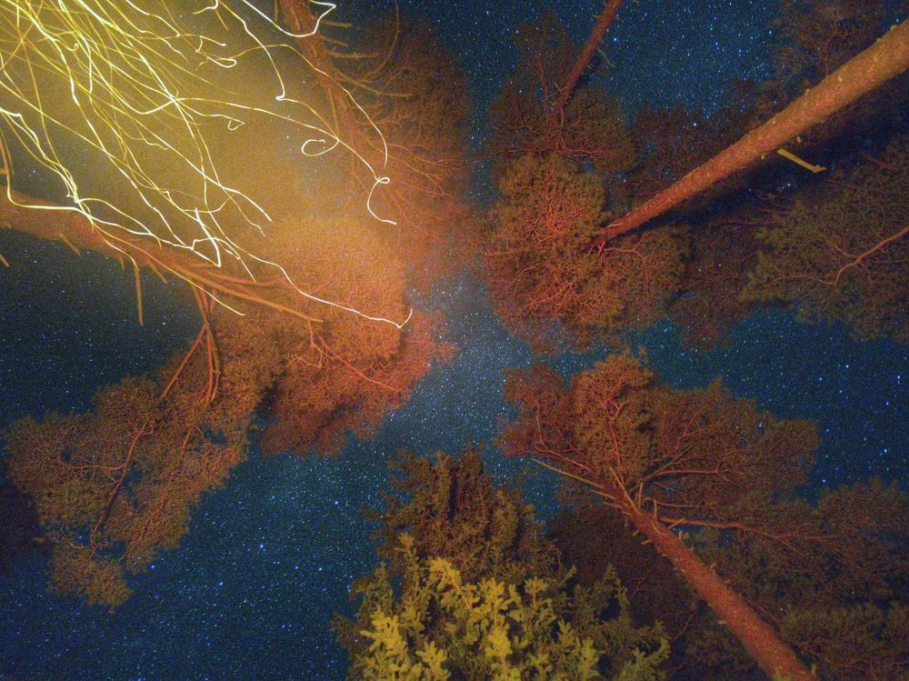 Photograph by Екатерина Аксёнова