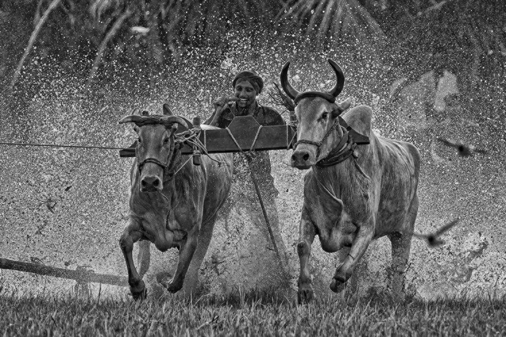 Photograph by SUBRATA CHOWDHURY