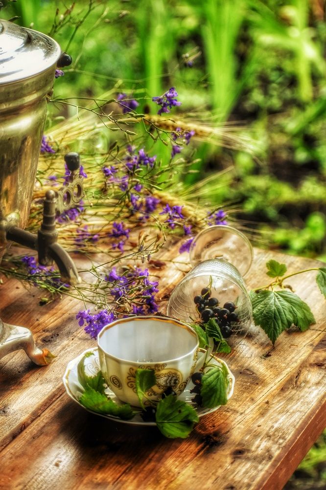 Photograph by Алёна Попова