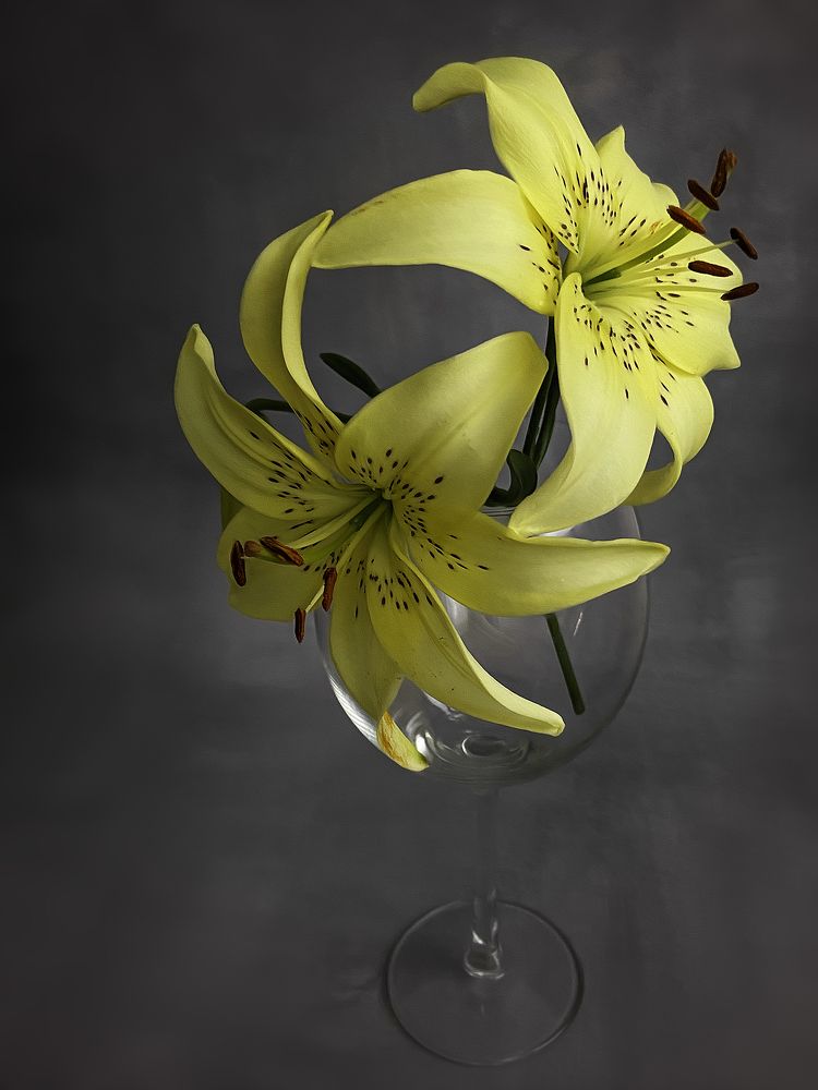 Photograph by Anna Sindikayeva