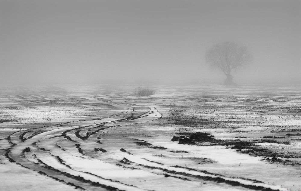 Photograph by Александр Голубев