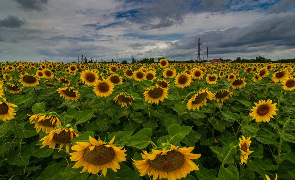 Photograph by Редько Александр