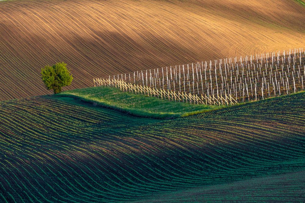 Photograph by Евгения Чех