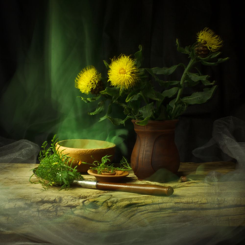 Photograph by Natalia Shilova