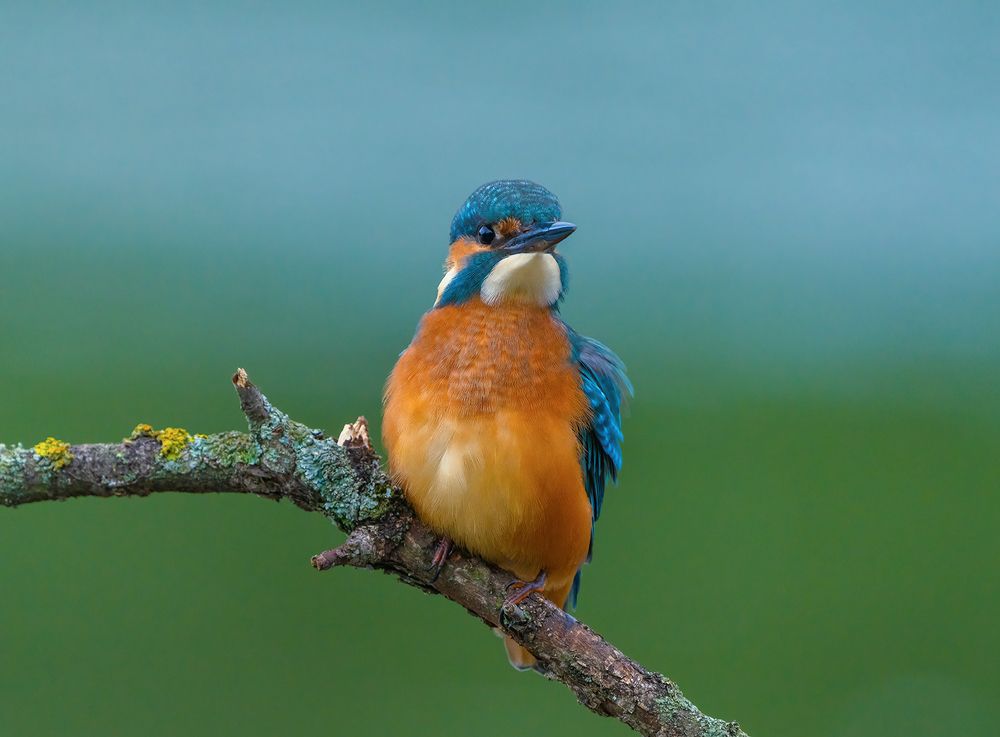 Photograph by Игорь Кляхин