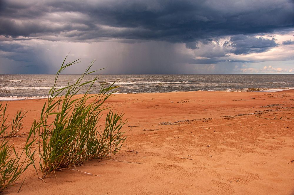 Photograph by Игорь Овсиенко