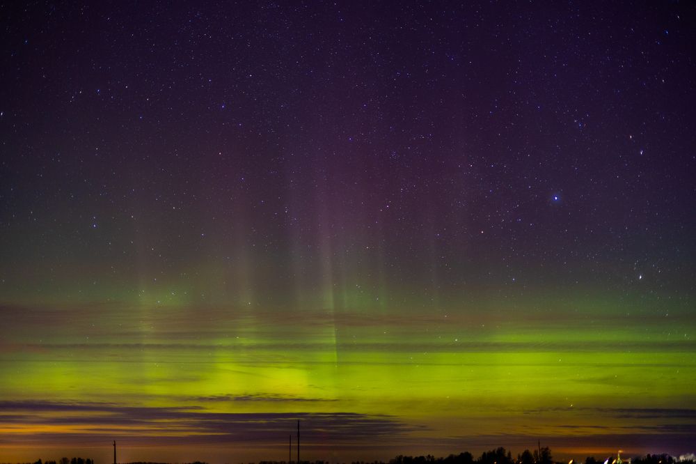 Photograph by Mariko Passel