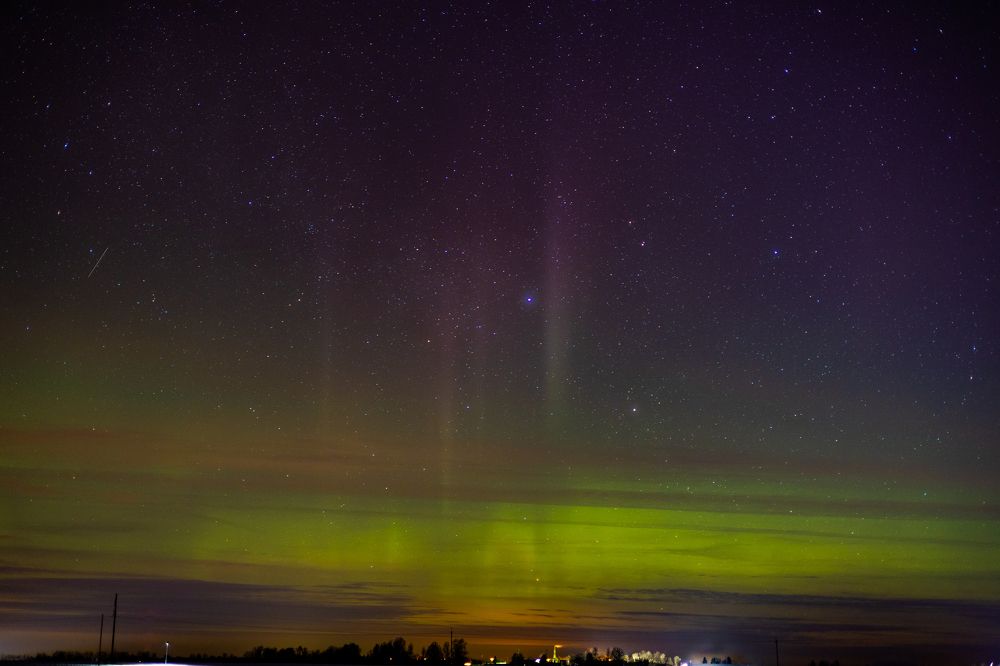 Photograph by Mariko Passel