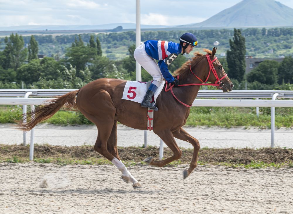 Photograph by Сергей Савчук