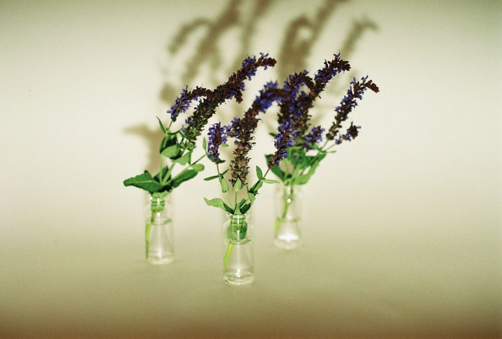 Photograph by Роман Кустов