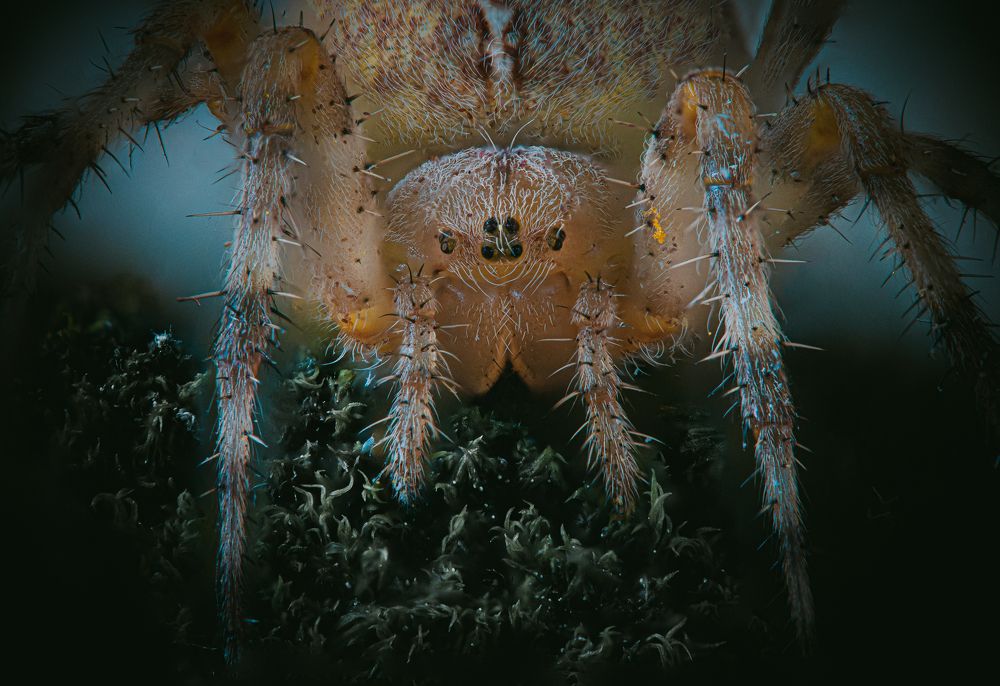 Photograph by Юлия Шматова