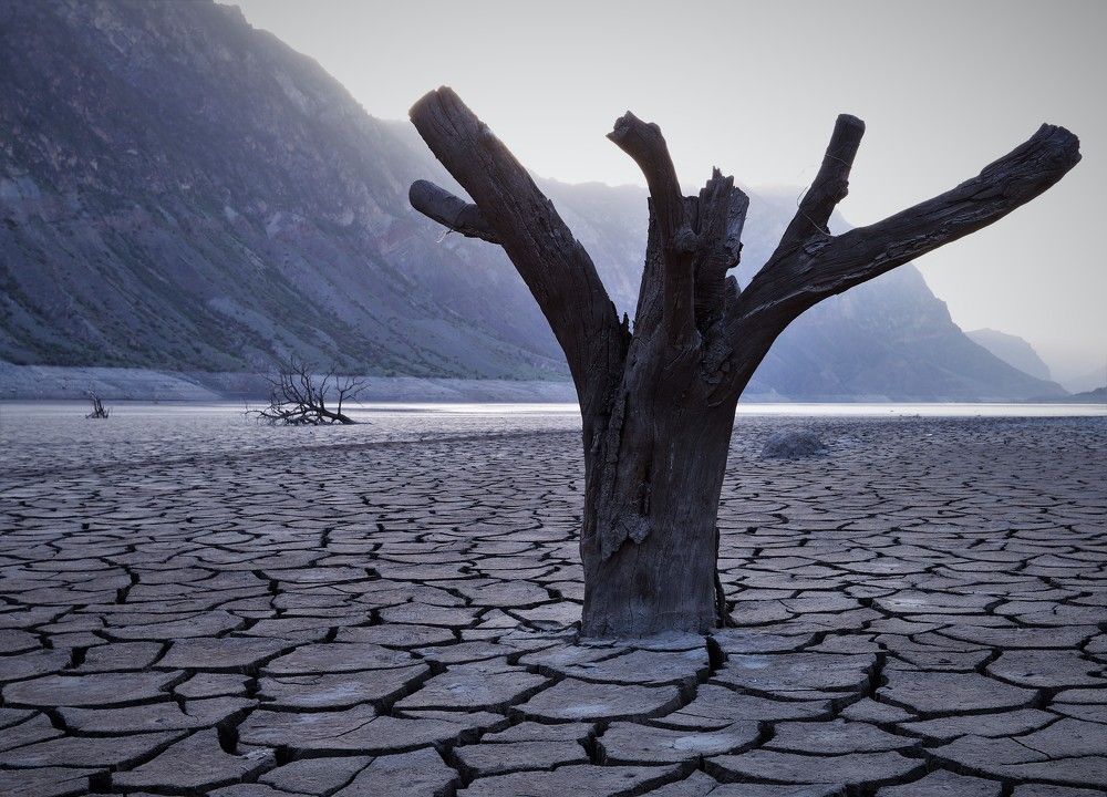 Photograph by Максимушкина Ольга