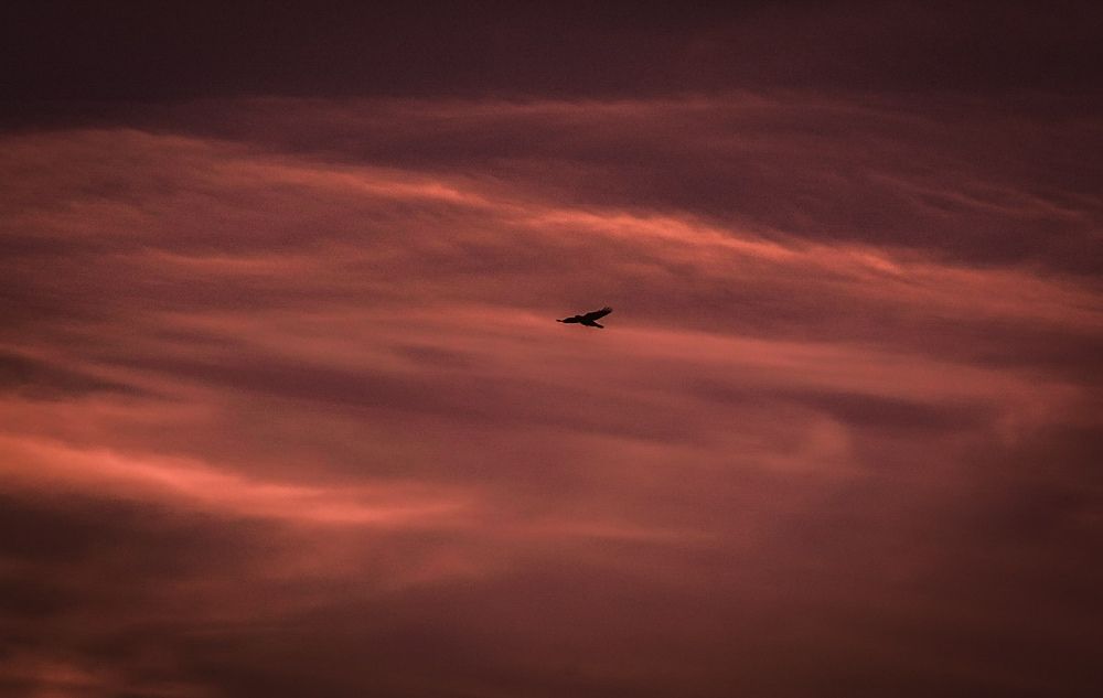 Photograph by Марина Анастасиевская