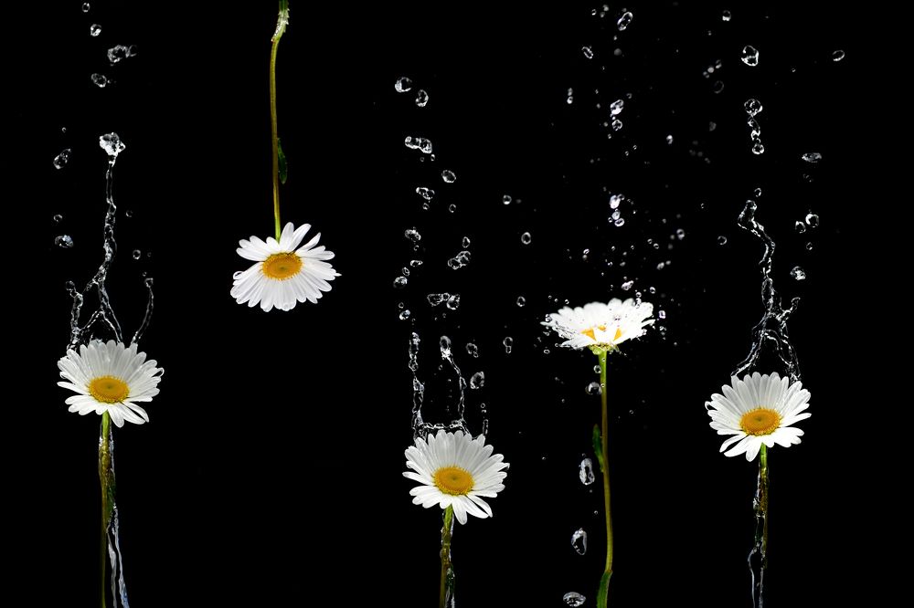 Photograph by Оксана Корниенко