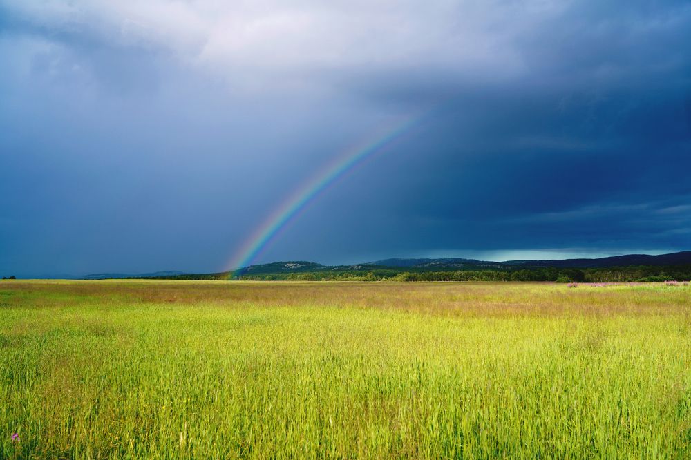 Photograph by Ирина Баландина