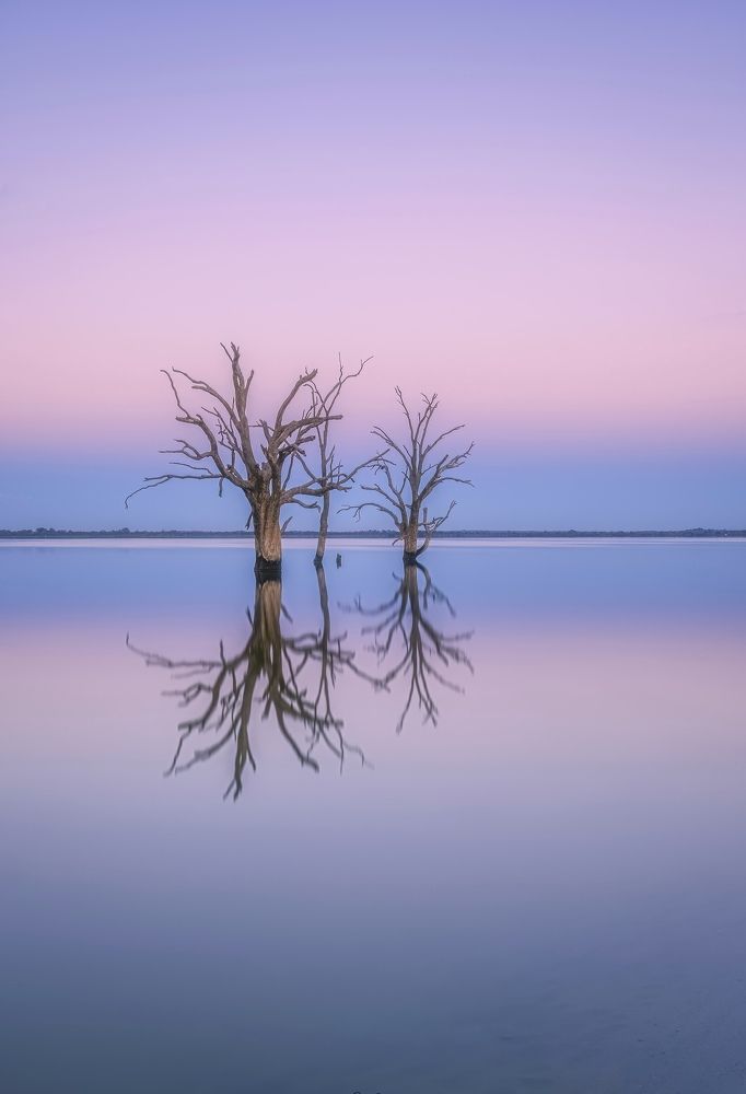 Photograph by wendy klein