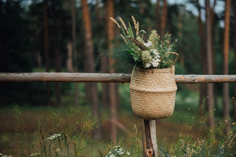 Фотография автора Мария Иодис