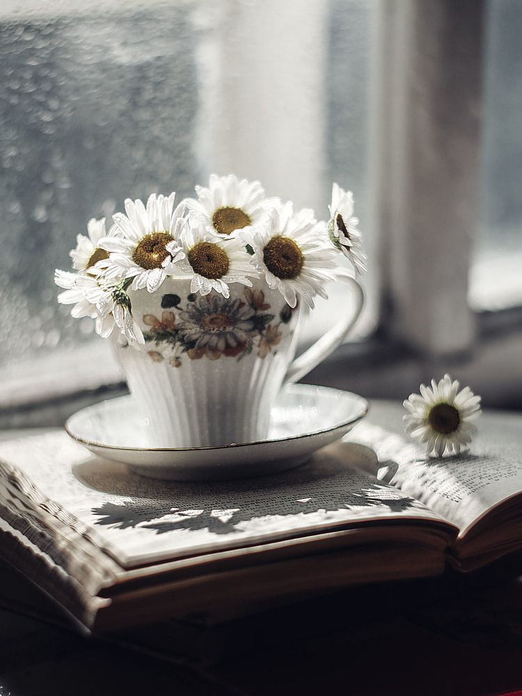 Photograph by Rogozina Olga