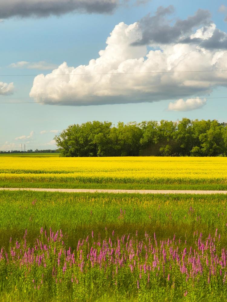 Фотография автора Al