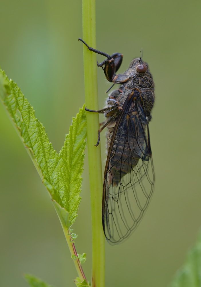 Photograph by Анатолий Васильев
