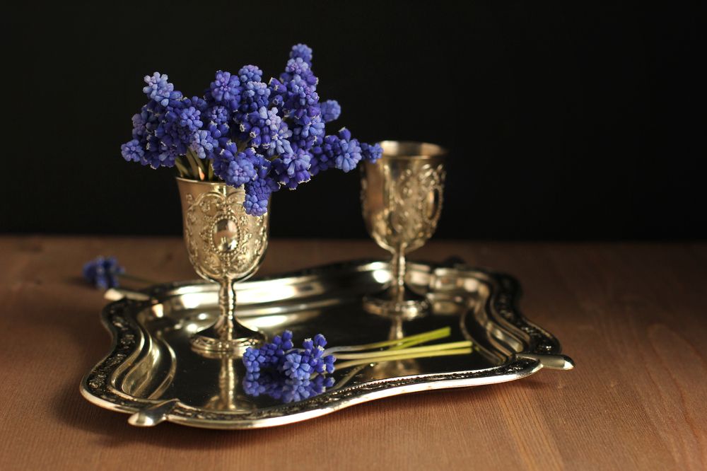 Photograph by Татьяна Лисянская