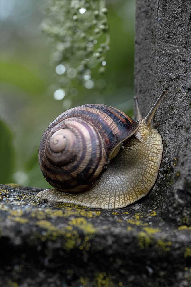 Photograph by Александр Стрельченко