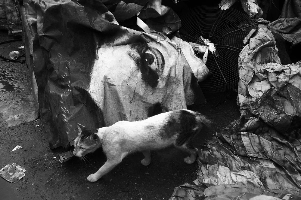 Photograph by Syed Danish