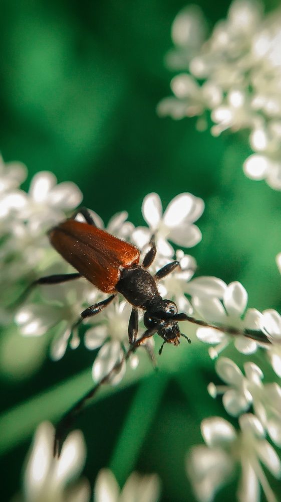 Photograph by Екатерина Хужаева