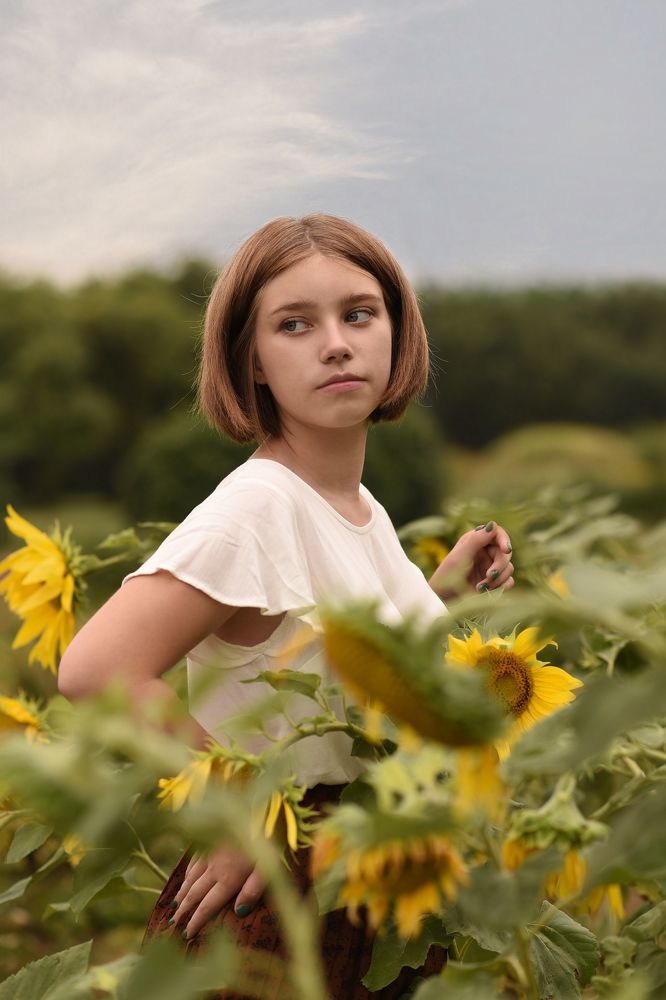 Цветы солнца