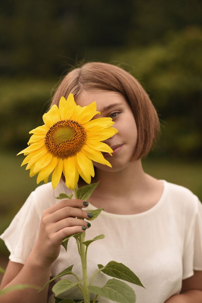 Цветы солнца