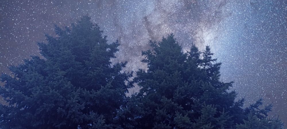 Фотография автора Михаил Лупина