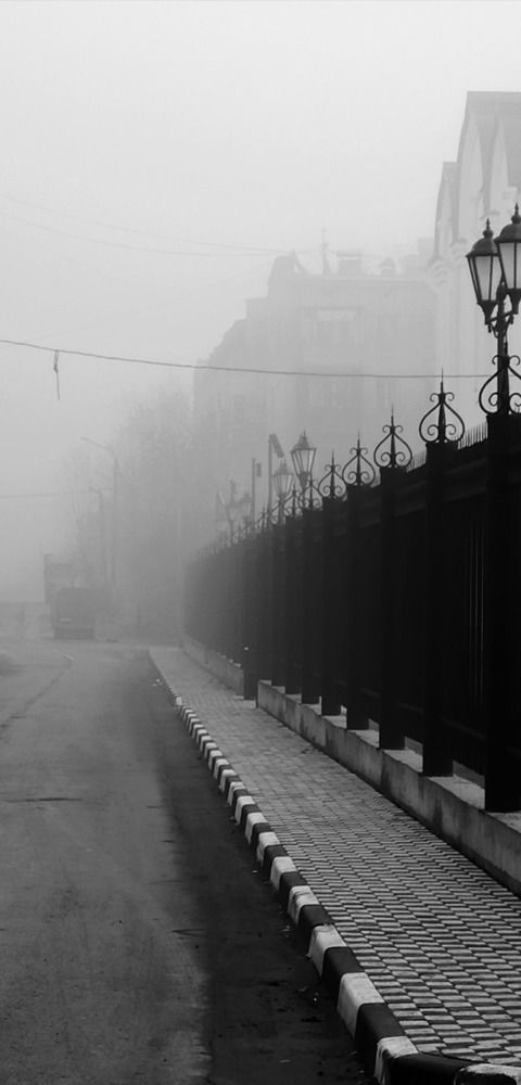 Фотография автора Ксения Шумилова