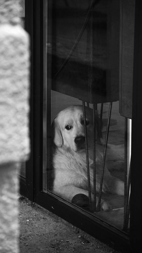 Photograph by Илья Пономарев