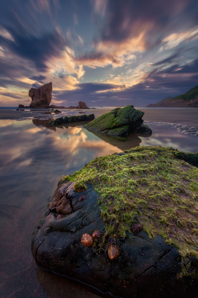 Photograph by Camacho Anto