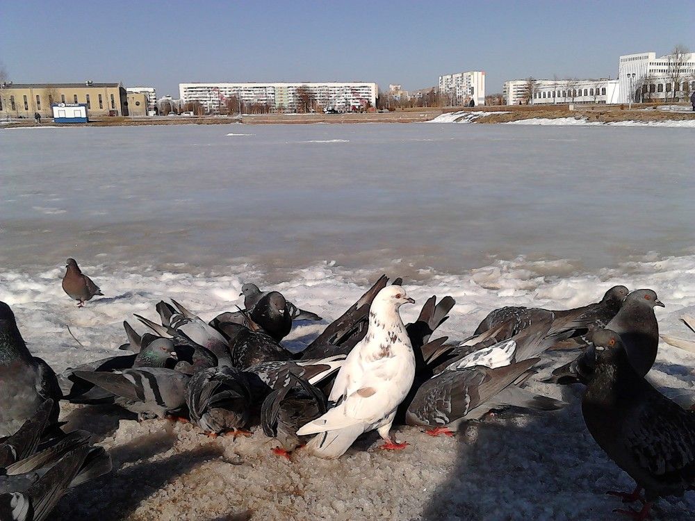 Фотография автора Valiantsina Sivakova