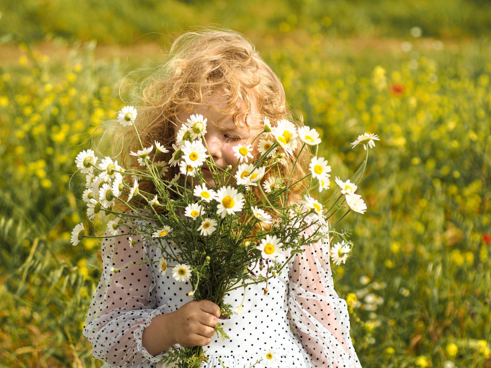 Фотография автора Александра Савельева